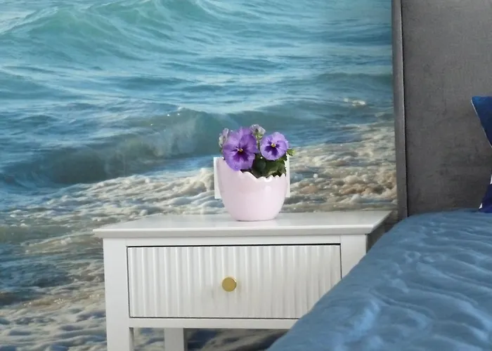 Bursztynowy Brzeg - Revital