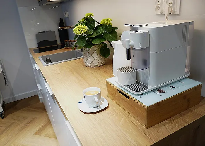 Bursztynowy Brzeg - Revital Mechelinki